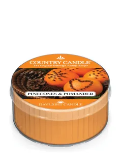 Country Candle – Daylight vonná svíčka Pinecones & Pomander, 42 g