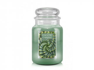 Country Candle - vonná svíčka Spiral Aloe, 652 g